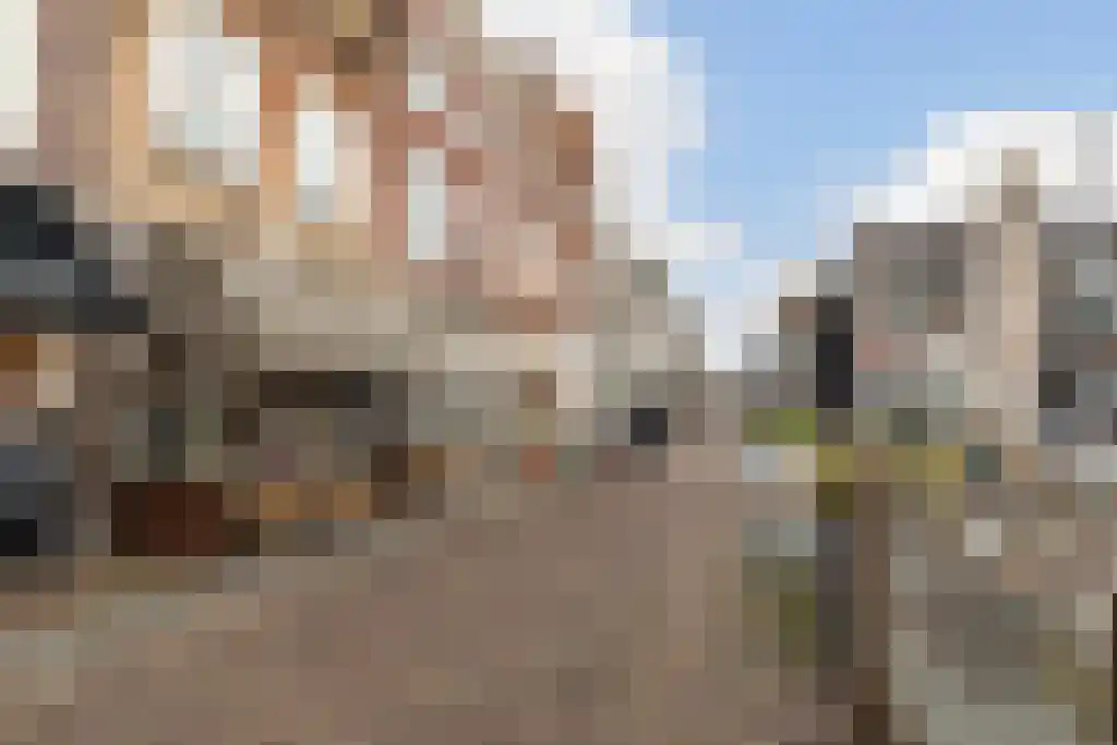 Nieuwstraat 52 Dordrecht thumbnail 60