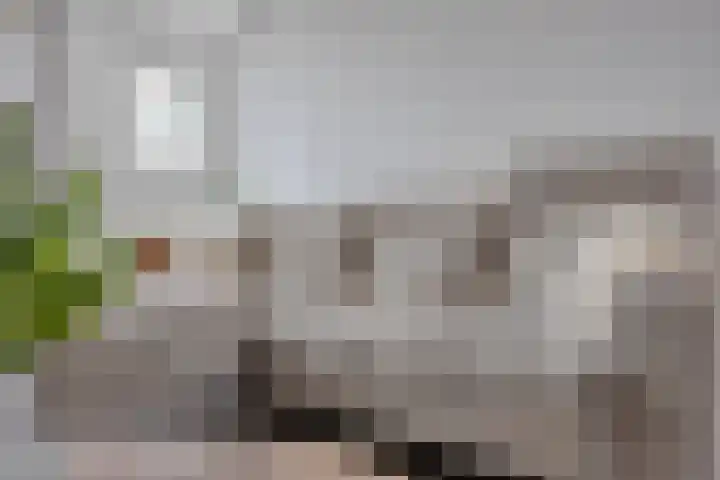Nieuwstraat 53 a Stein thumbnail 17