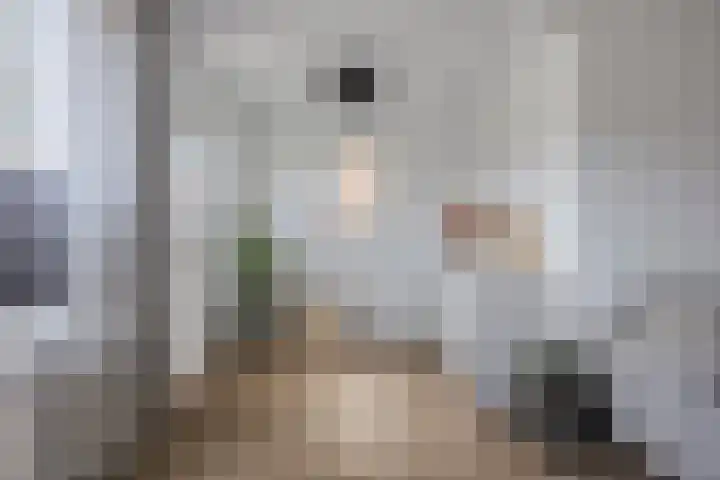 Nieuwstraat 53 a Stein thumbnail 18