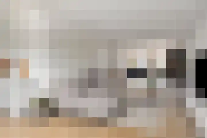 Nieuwstraat 53 a Stein thumbnail 20