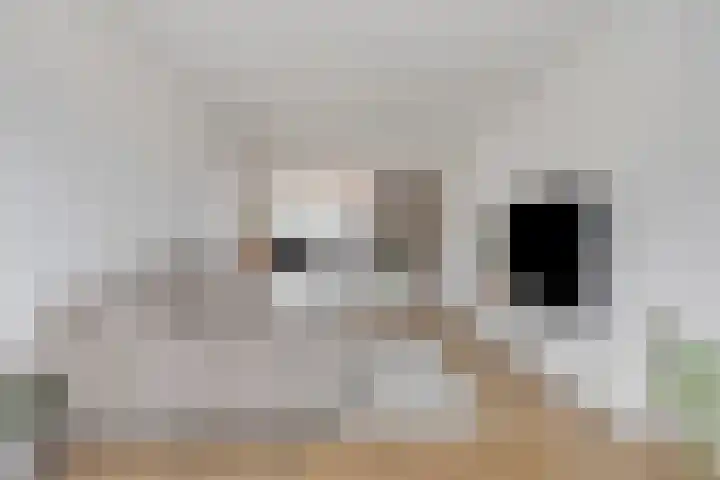 Nieuwstraat 53 a Stein thumbnail 21