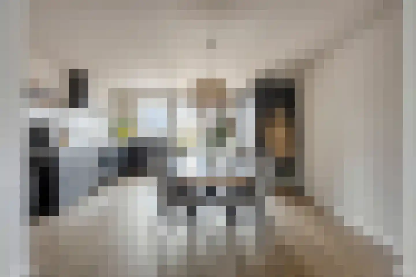 Nieuwstraat 53 a Stein thumbnail 22