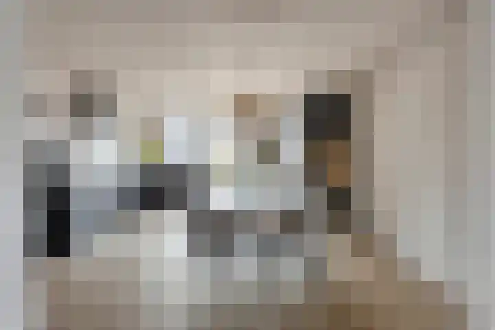 Nieuwstraat 53 a Stein thumbnail 22