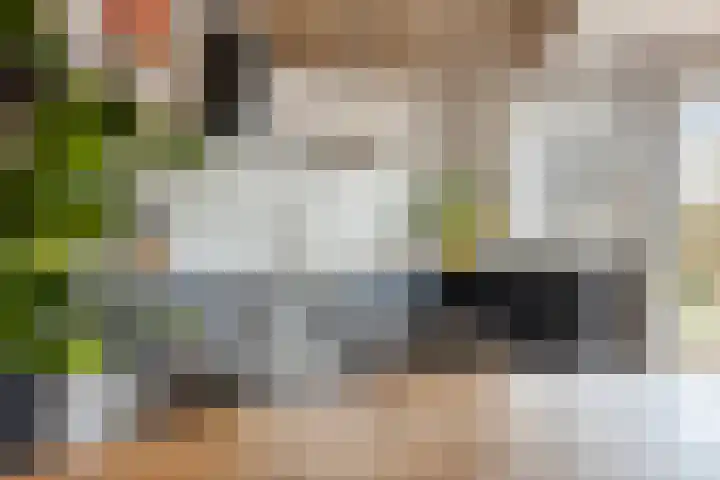 Nieuwstraat 53 a Stein thumbnail 28
