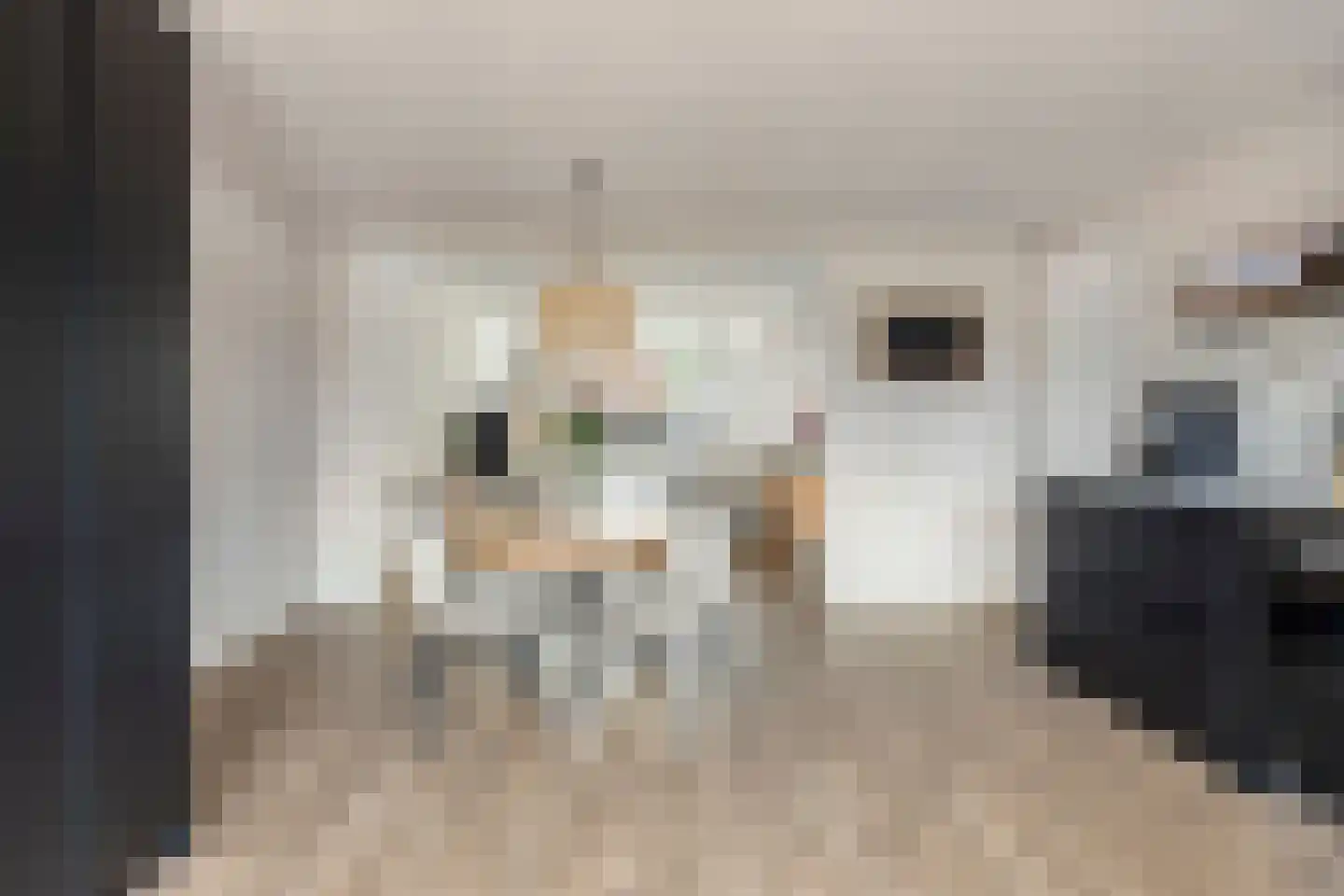 Nieuwstraat 53 a Stein thumbnail 30