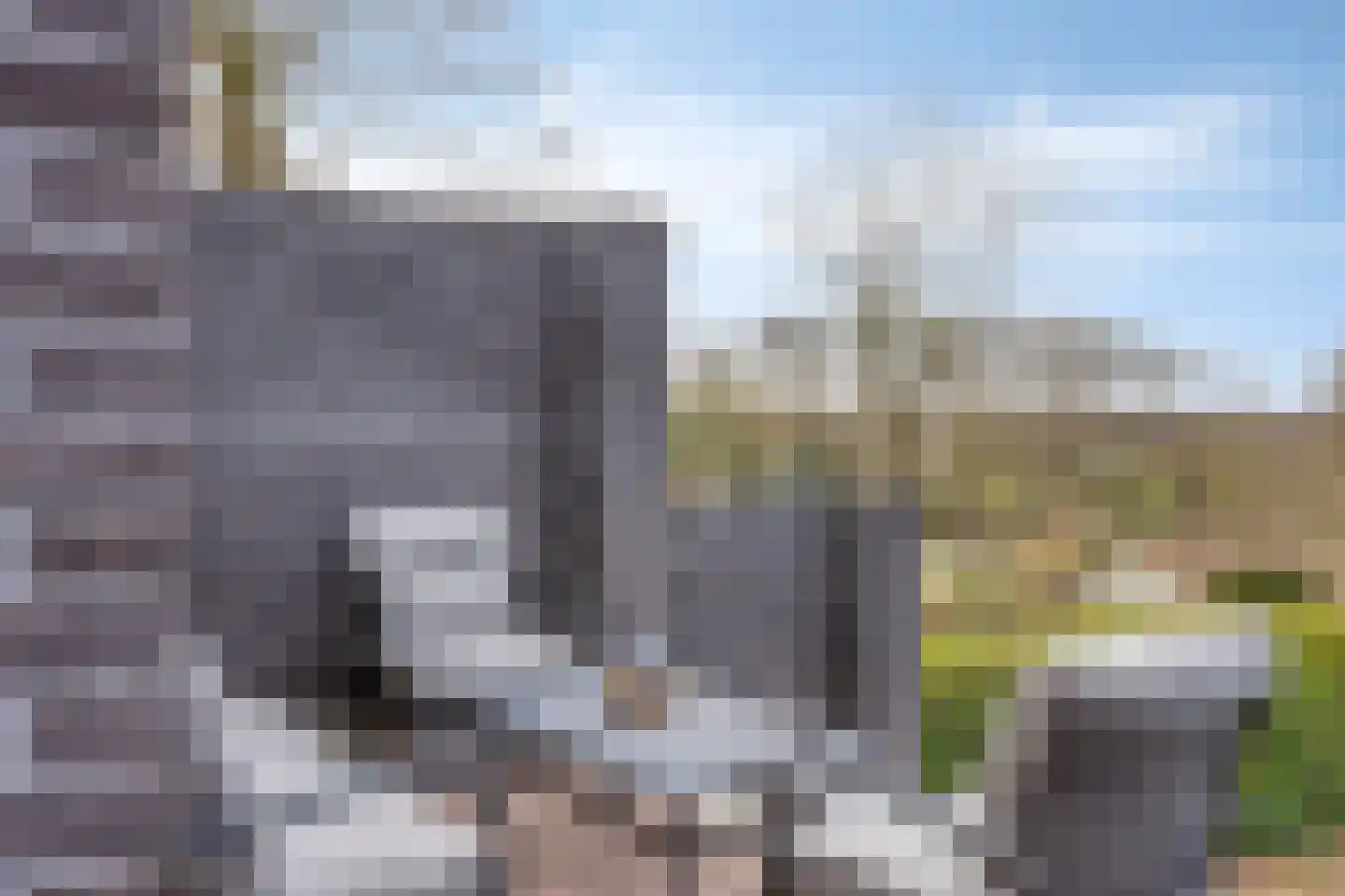 Nieuwstraat 53 a Stein thumbnail 33