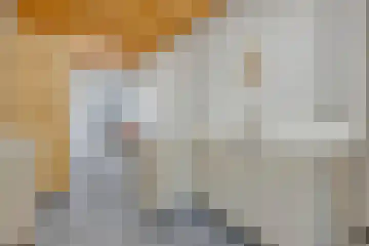Nieuwstraat 53 a Stein thumbnail 38