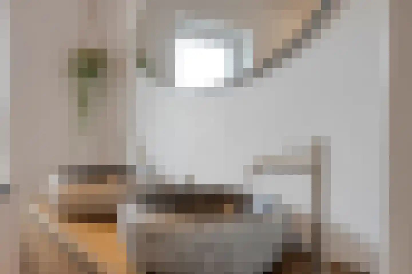 Nieuwstraat 53 a Stein thumbnail 46