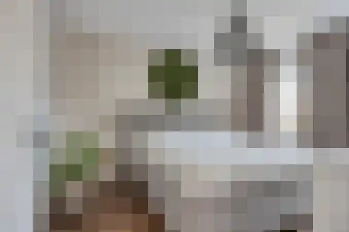 Nieuwstraat 53 a Stein thumbnail 51