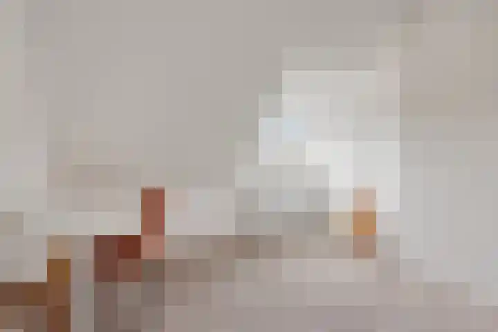 Nieuwstraat 53 a Stein thumbnail 58