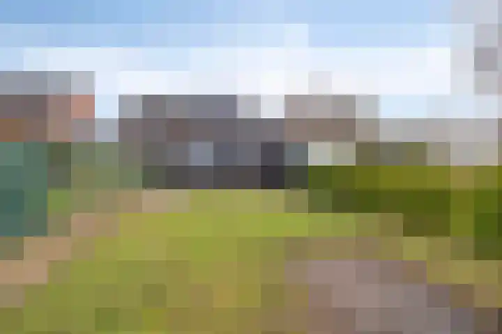 Nieuwstraat 53 a Stein thumbnail 6