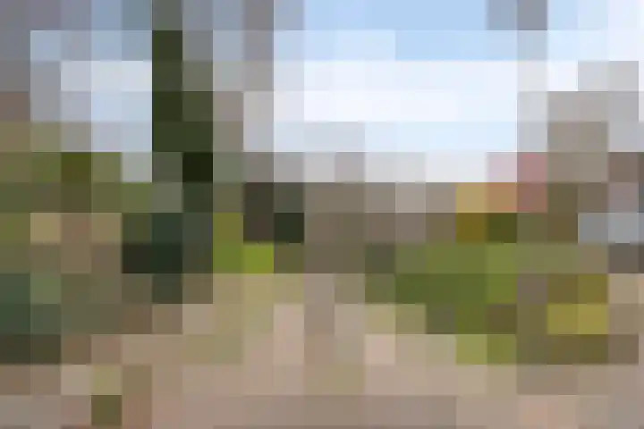 Nieuwstraat 53 a Stein thumbnail 62