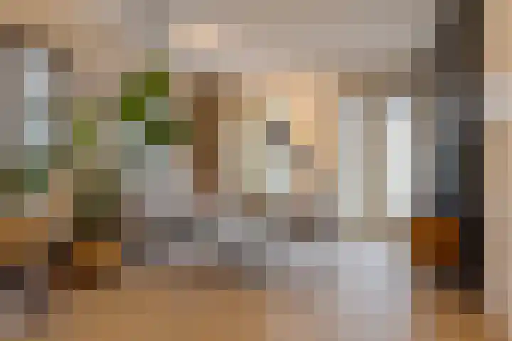 Nieuwstraat 53 E Zwolle thumbnail 10