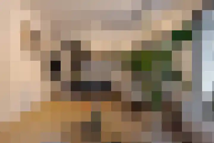 Nieuwstraat 53 E Zwolle thumbnail 12