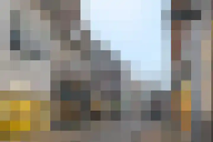 Nieuwstraat 53 E Zwolle thumbnail 29