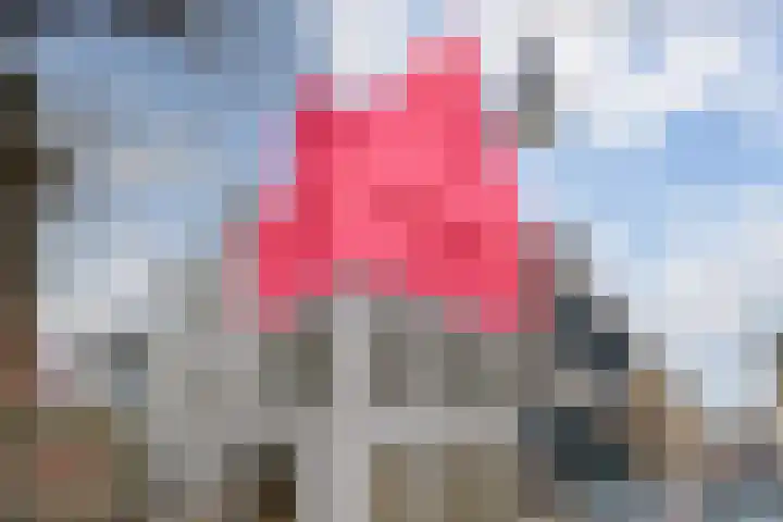 Nieuwstraat 53 E Zwolle thumbnail 6