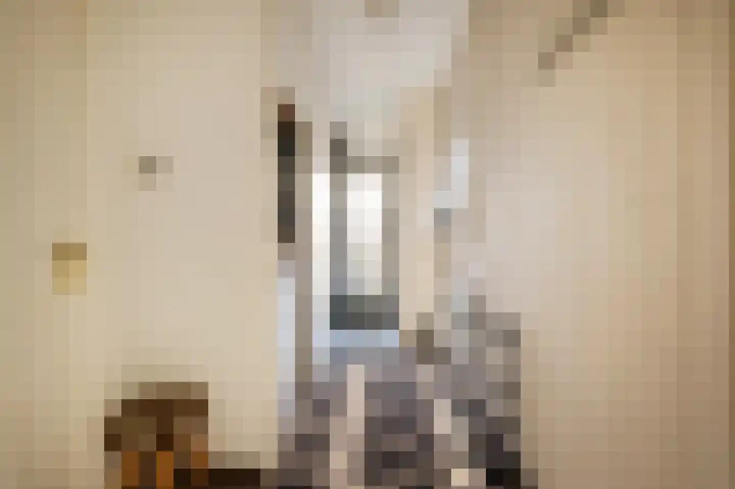 Nieuwstraat 53 Eibergen thumbnail 11