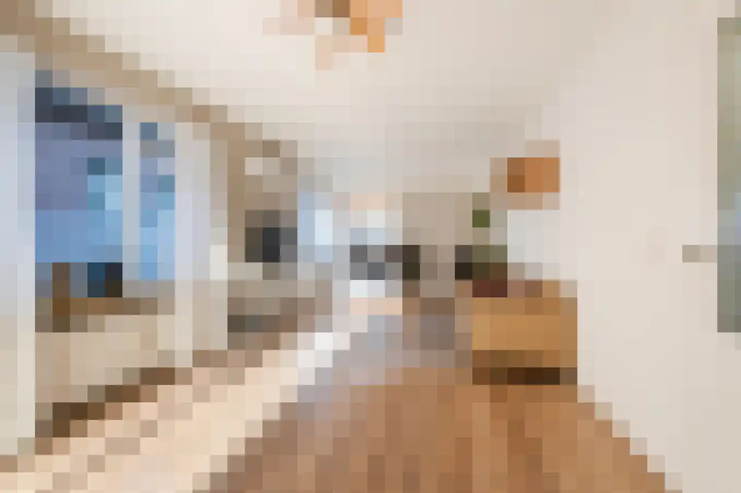 Nieuwstraat 53 Eibergen thumbnail 15