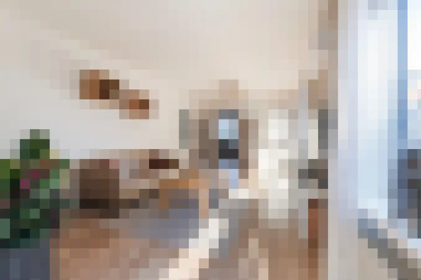 Nieuwstraat 53 Eibergen thumbnail 16