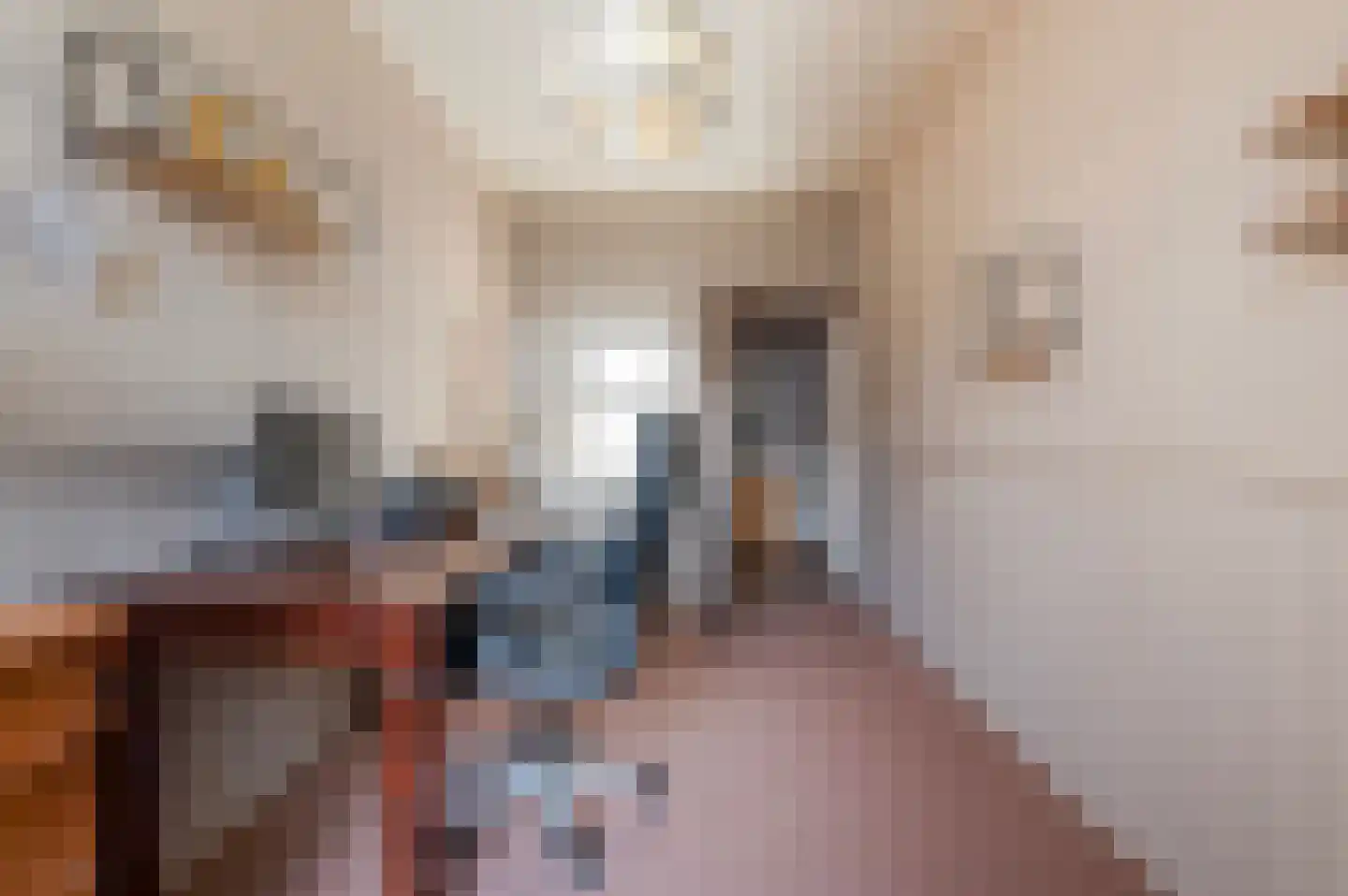 Nieuwstraat 53 Eibergen thumbnail 18
