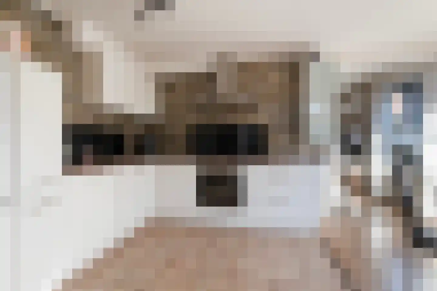 Nieuwstraat 53 Eibergen thumbnail 19