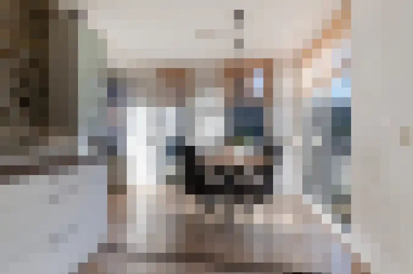 Nieuwstraat 53 Eibergen thumbnail 22