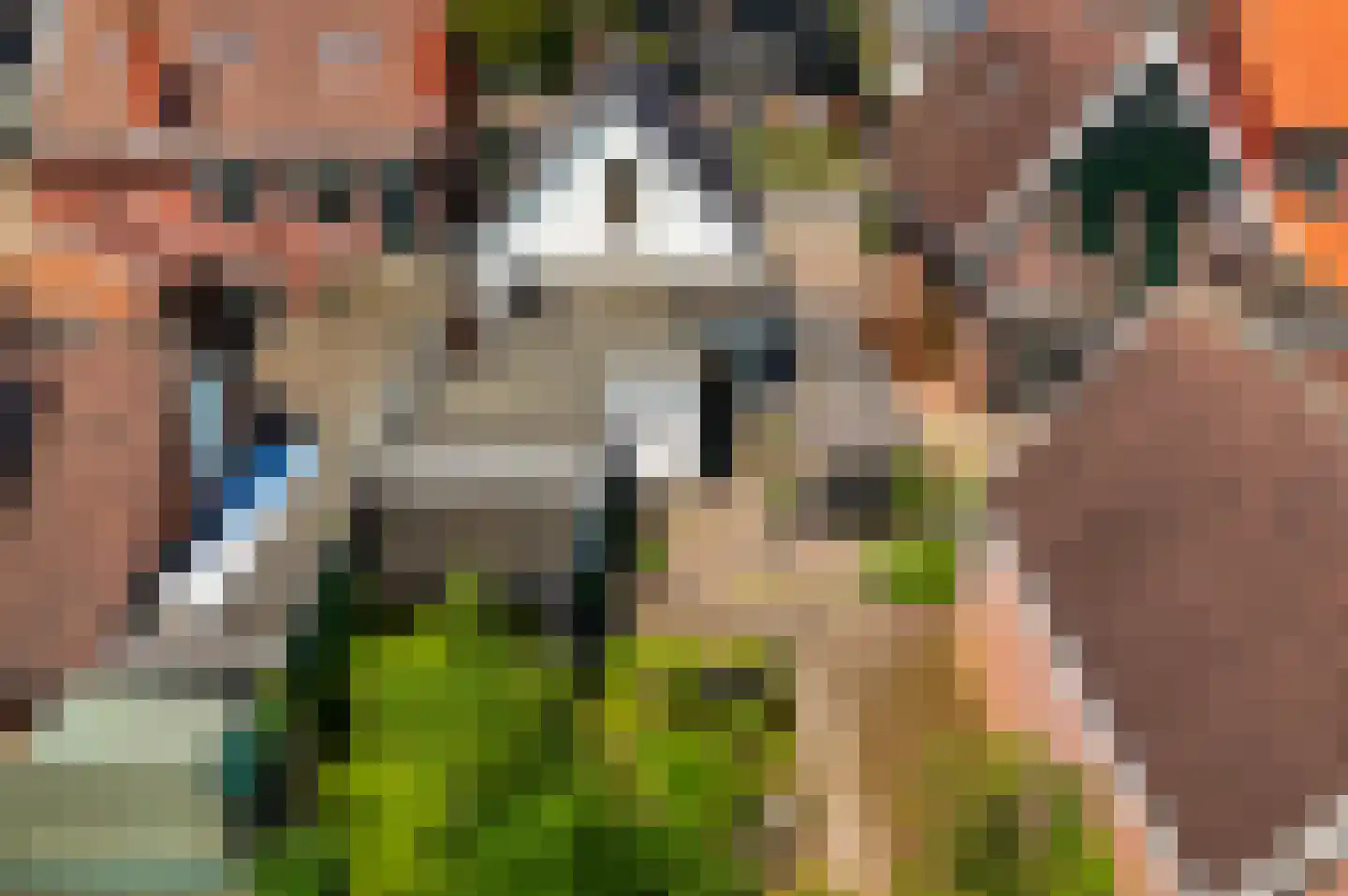 Nieuwstraat 53 Eibergen thumbnail 38