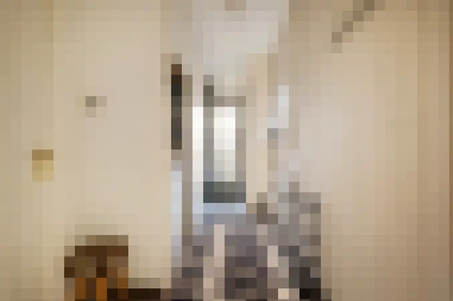 Nieuwstraat 53 Eibergen thumbnail 9