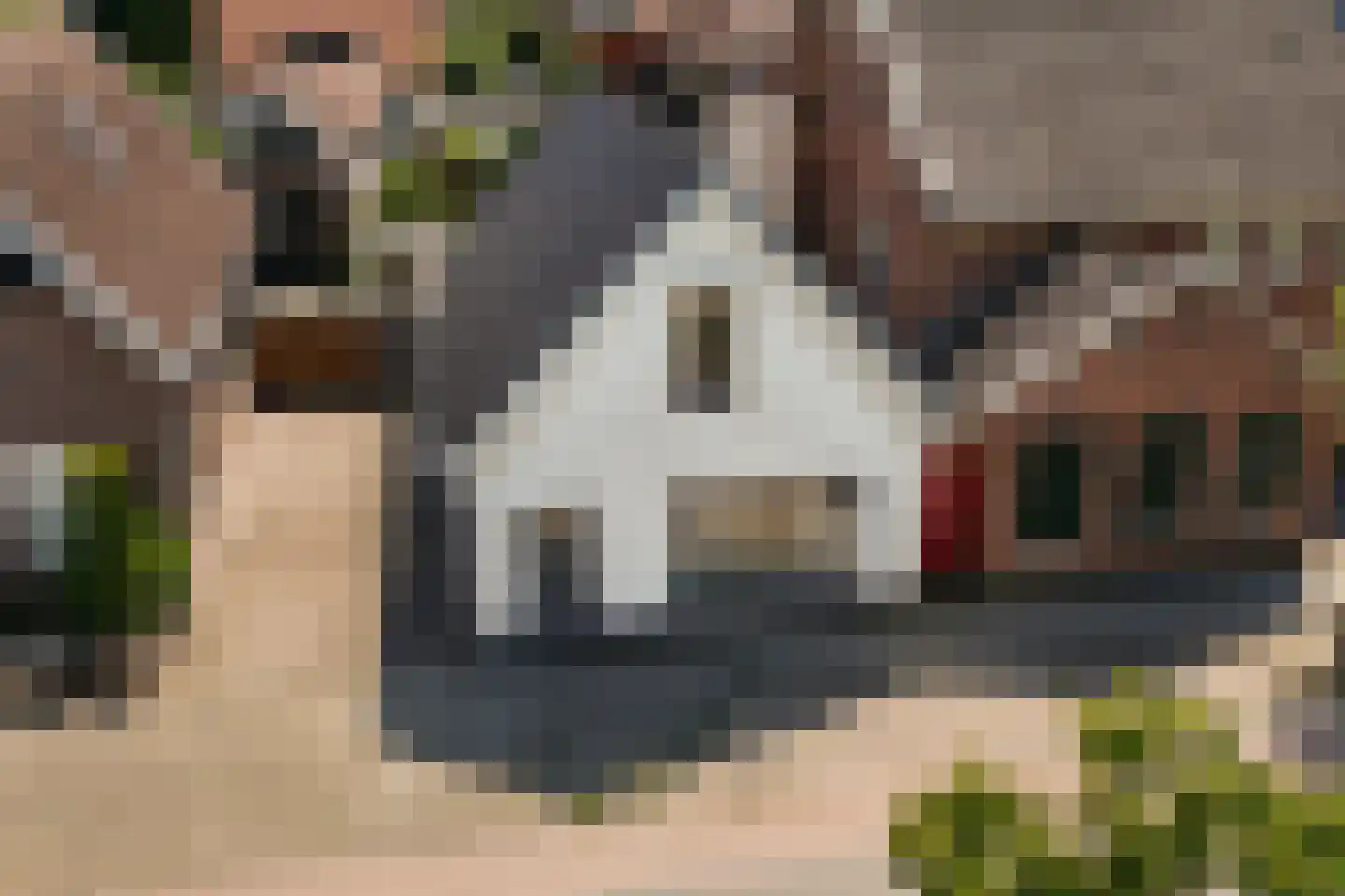 Nieuwstraat 53 Eibergen thumbnail 9