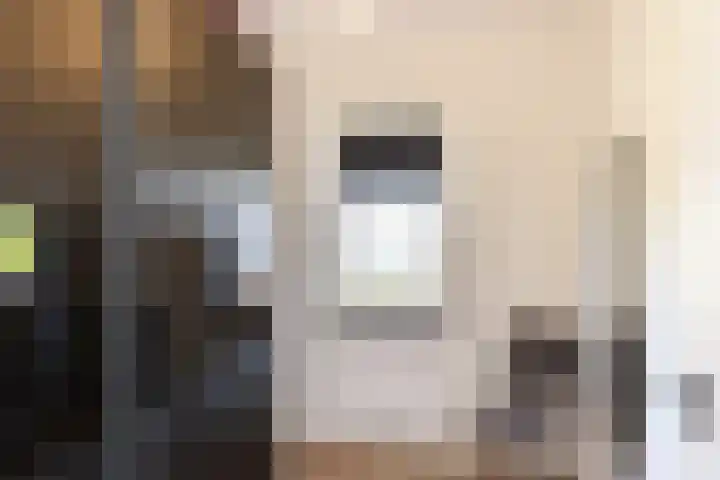 Nieuwstraat 53 Neede thumbnail 13