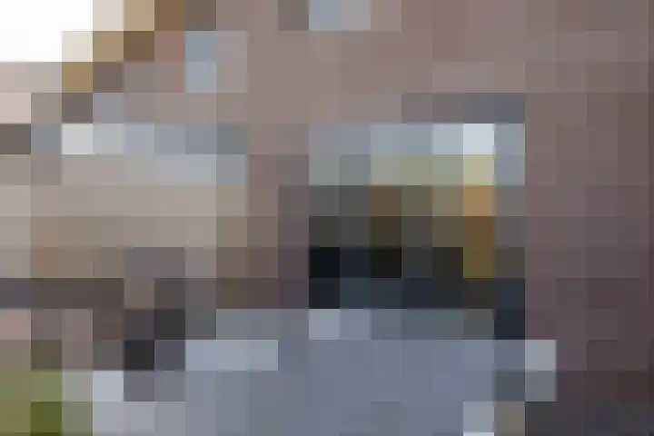 Nieuwstraat 53 Neede thumbnail 22