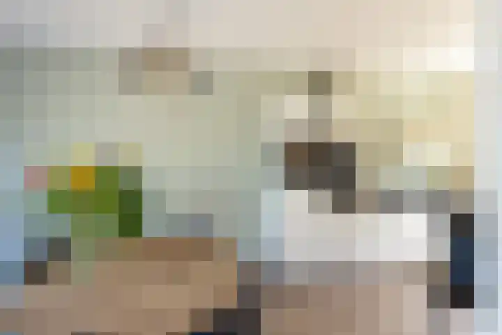 Nieuwstraat 53 Neede thumbnail 5