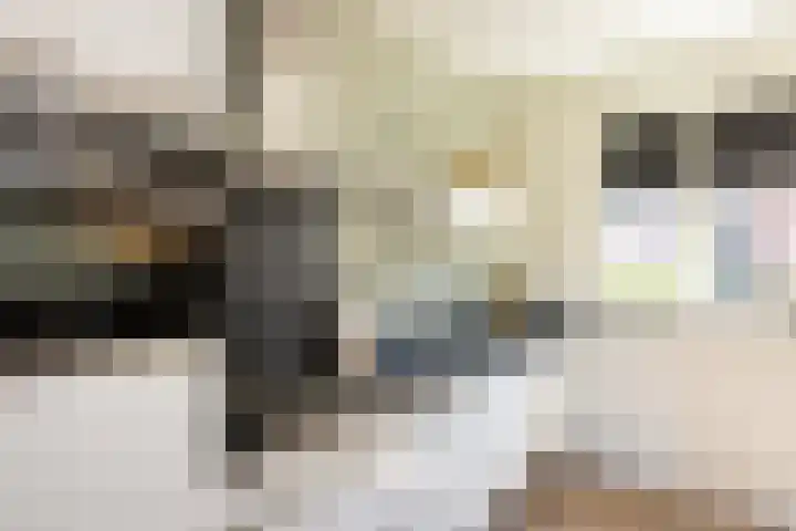 Nieuwstraat 53 Neede thumbnail 7