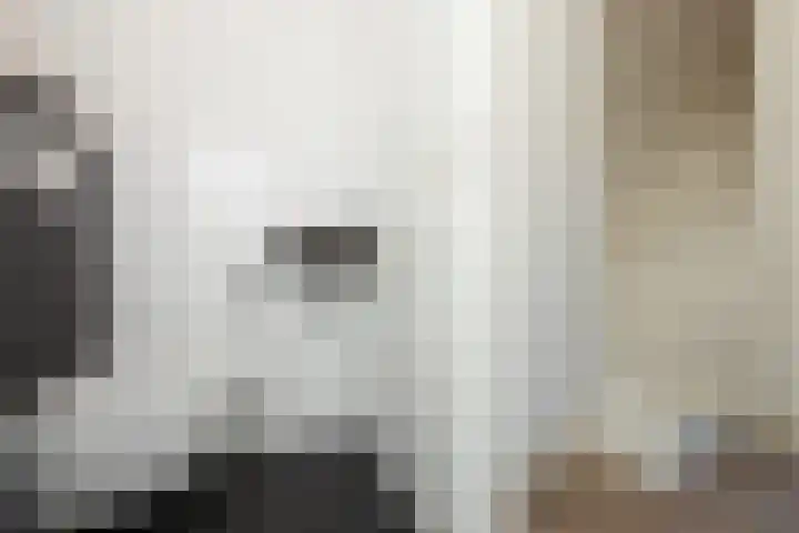 Nieuwstraat 53 Neede thumbnail 9