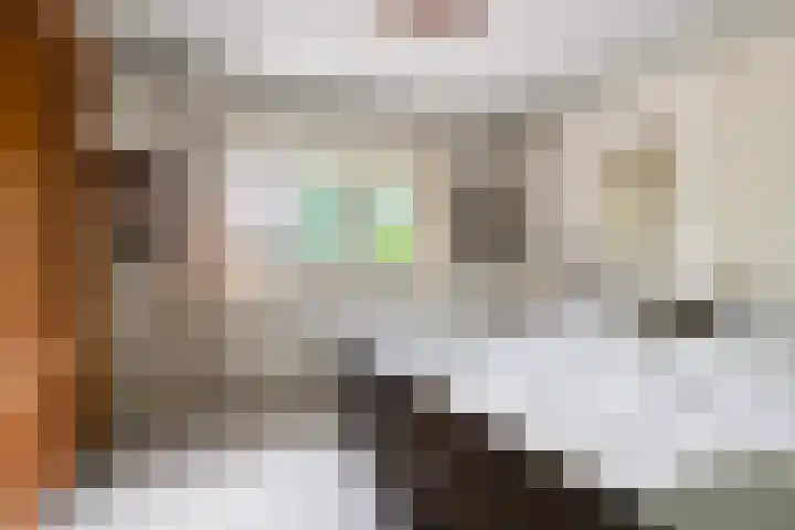 Nieuwstraat 54 Best thumbnail 36