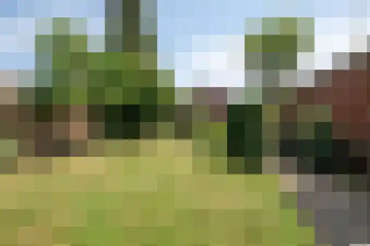Nieuwstraat 54 Best thumbnail 48