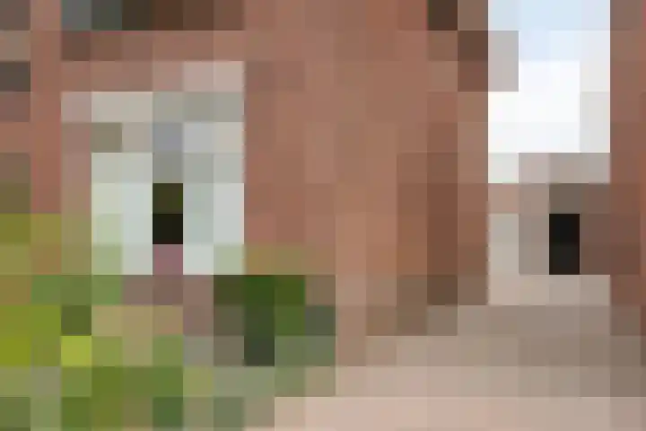 Nieuwstraat 54 Best thumbnail 5