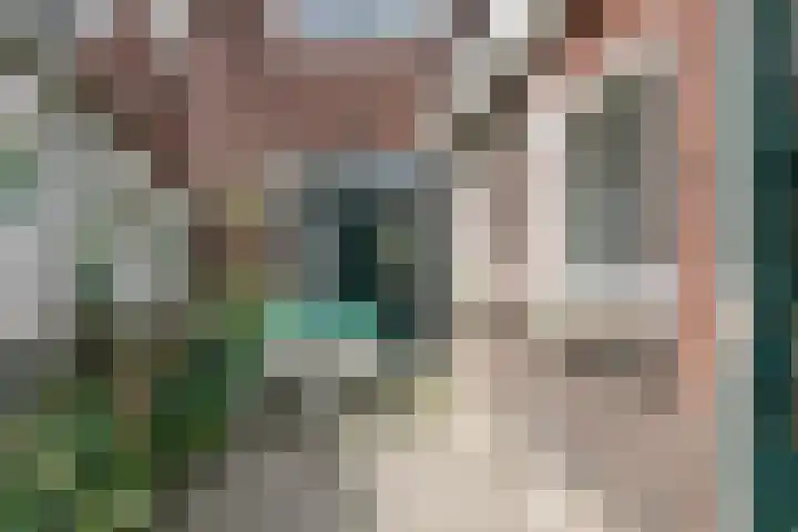 Nieuwstraat 54 Best thumbnail 56
