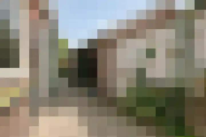 Nieuwstraat 54 Best thumbnail 57