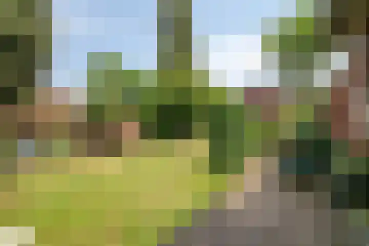 Nieuwstraat 54 Best thumbnail 58