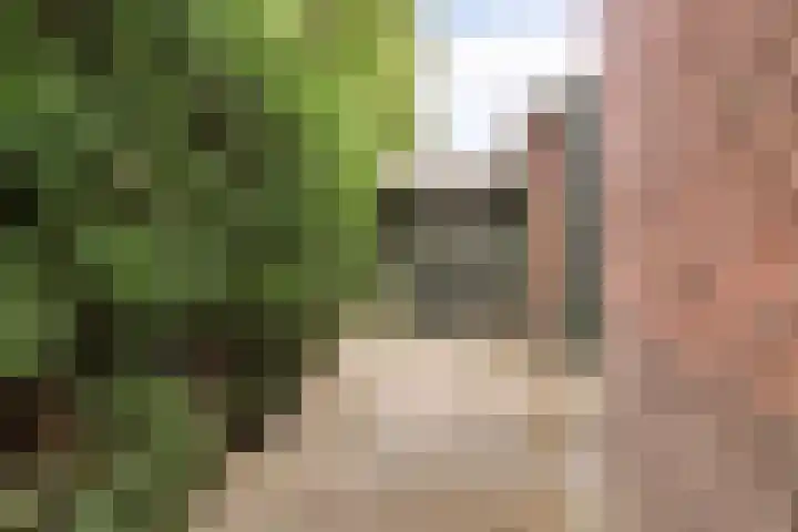 Nieuwstraat 54 Best thumbnail 61