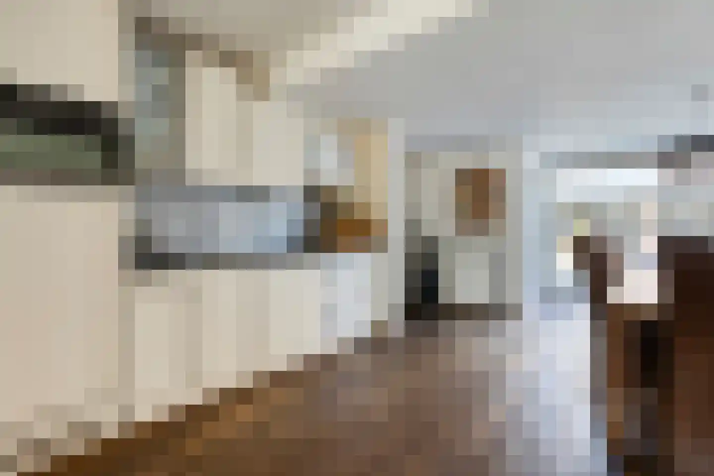 Nieuwstraat 54 Someren thumbnail 10