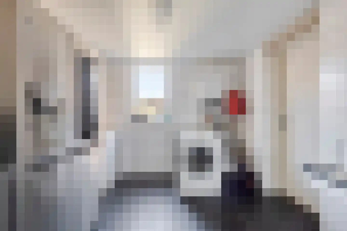 Nieuwstraat 54 Someren thumbnail 12