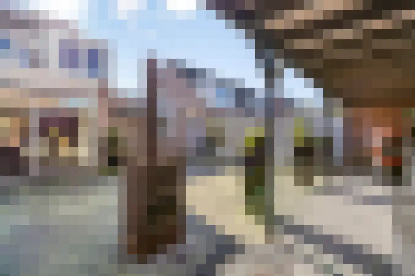 Nieuwstraat 54 Someren thumbnail 29