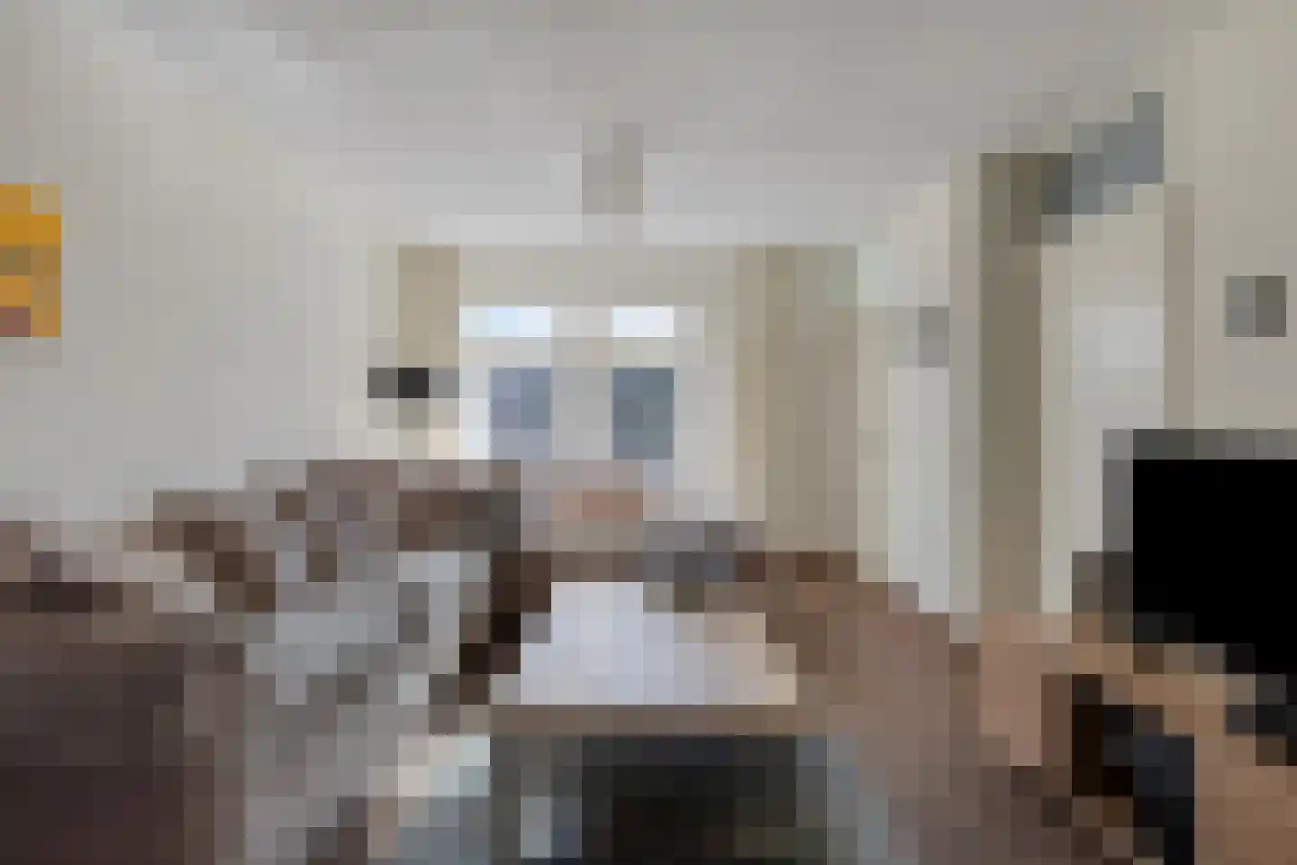 Nieuwstraat 54 Someren thumbnail 5