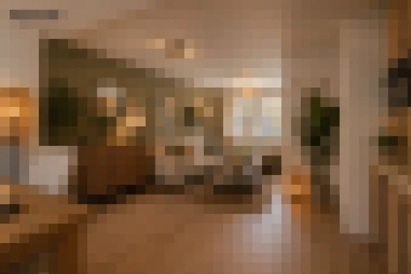 Nieuwstraat 54 Someren thumbnail 8