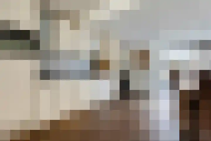 Nieuwstraat 54 Someren thumbnail 8