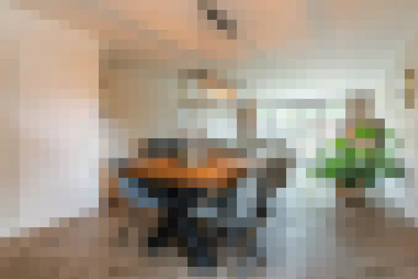 Nieuwstraat 54 Vroomshoop thumbnail 10