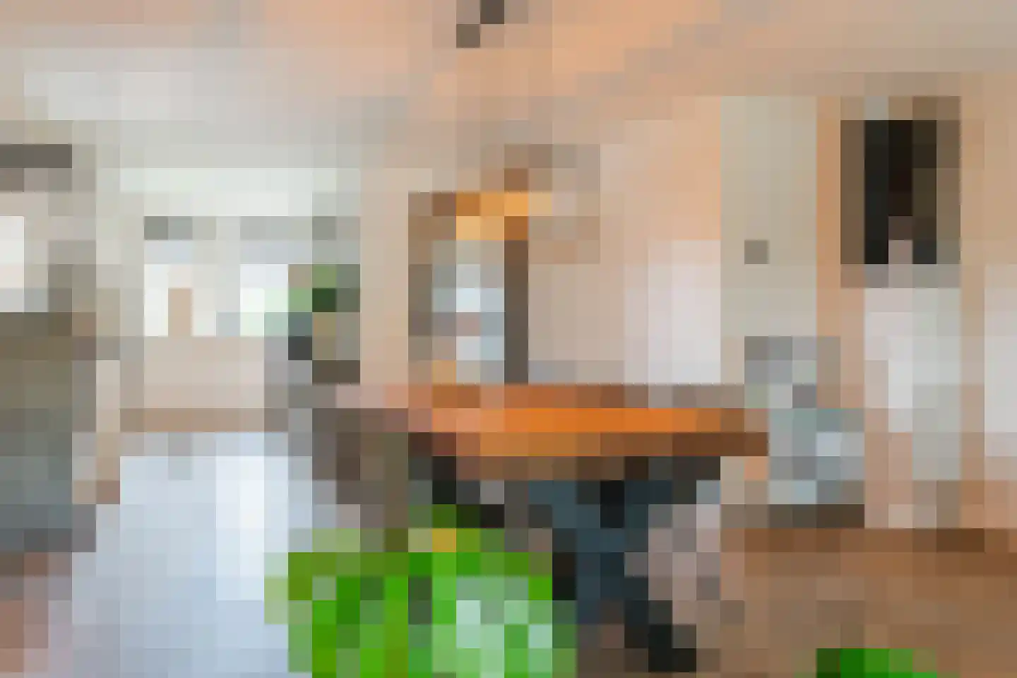 Nieuwstraat 54 Vroomshoop thumbnail 11