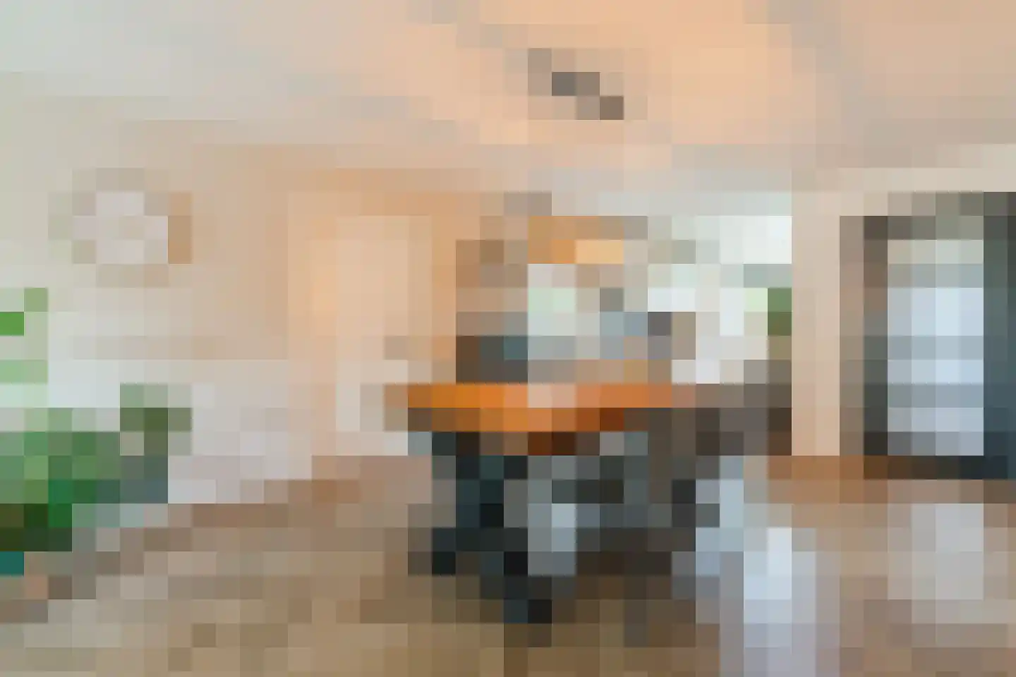 Nieuwstraat 54 Vroomshoop thumbnail 12